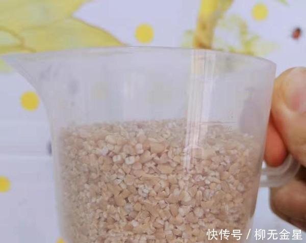 燕麦|风味,我家燕麦从未离开过,加些食物,营养美味,一家人都爱吃