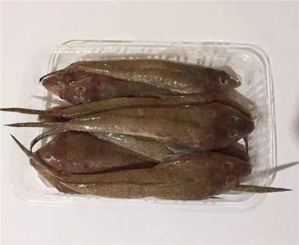 名叫|在潮汕有一种海鱼,土名叫鸡腿鱼,做好以后汤腥肉鲜,只能吃鱼肉
