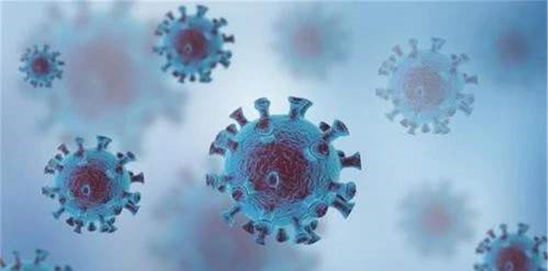 疫情|至少需要17亿只!世卫呼吁中国疫苗优先让美印使用,莫迪发财的机会来了