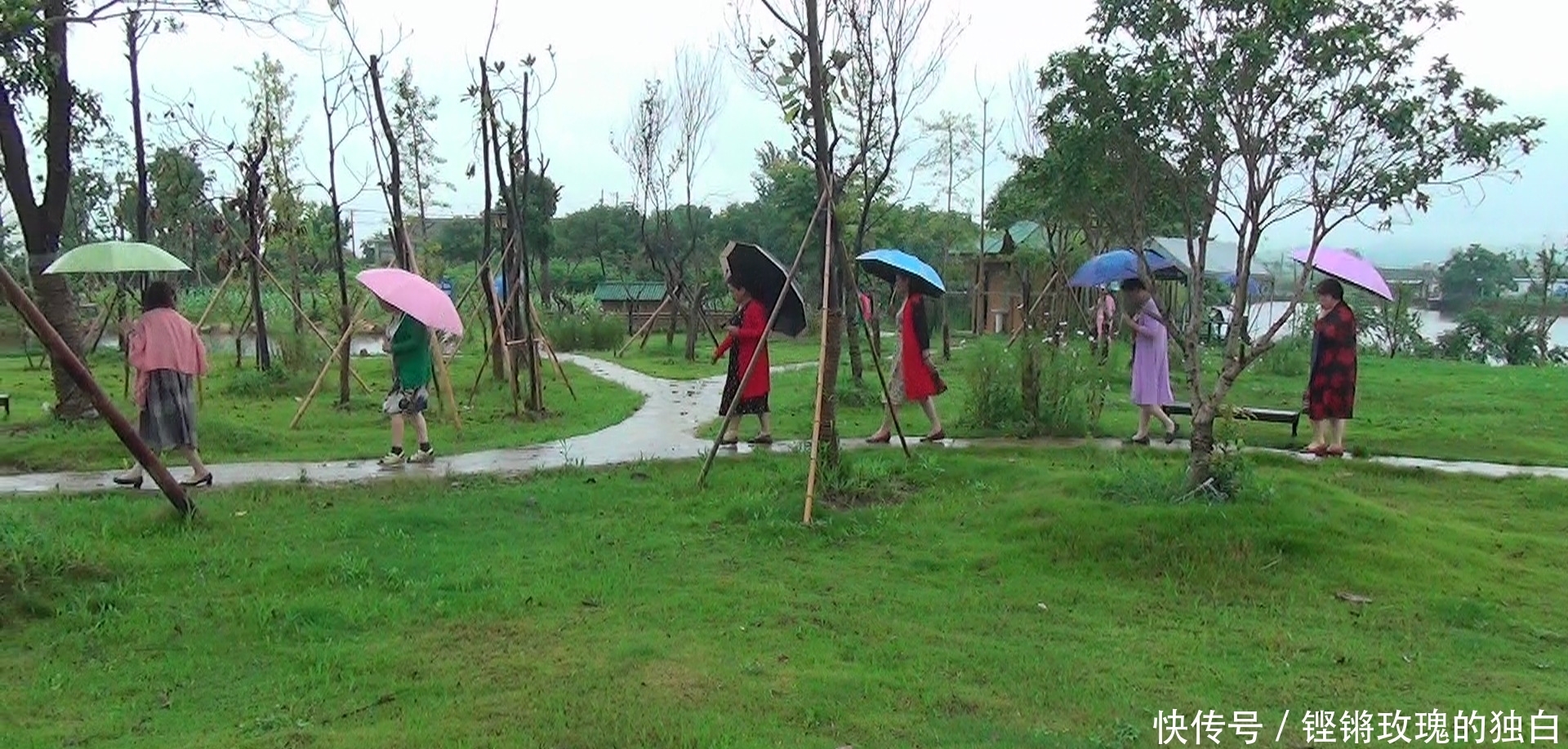  八中|马鞍山八中74届高中女生模特团：南京江宁竹庄生态园雨中走秀（音乐相册）