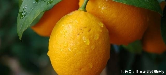 句子|珍藏许久对现实的引用,经典的句子,让你了解了很多真理