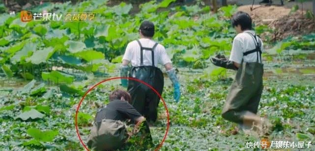 播片|《向往的生活》未播片段长达一小时,宋威龙摸河蚌,汪苏泷又偷懒