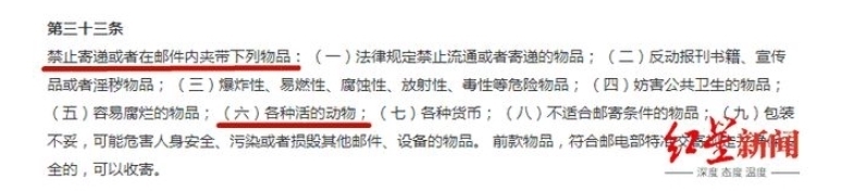 东兴物流园|数千宠物死在韵达滞留园：现场包裹遍地 恶臭难闻