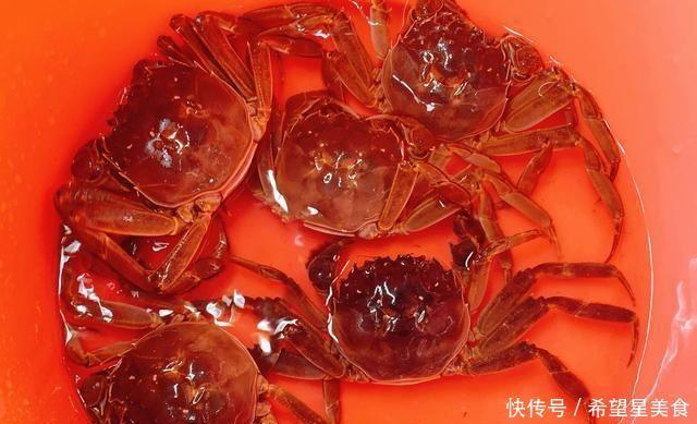 依旧|保存螃蟹时,别直接放冰箱,渔民教你一招,放一周依旧鲜活