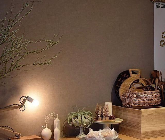  妈妈|离异妈妈带娃，懂事的12岁儿子为娘掌勺，日式家居生活堪称完美