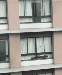 GIF|搞笑GIF:好可爱的姑娘