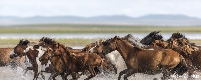平定|打哭史思明？细数李光弼在平定安史之乱时用过的那些缺德招数