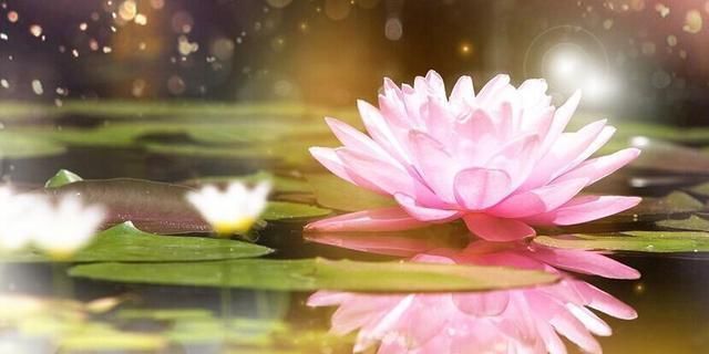 佛法|遇到诽谤佛法之人,我们该与之辩论还是争吵?