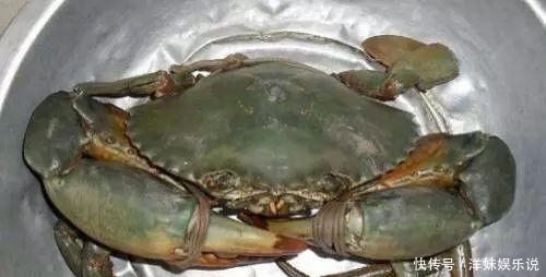 海鲜|海鲜大全, 你能认出多少