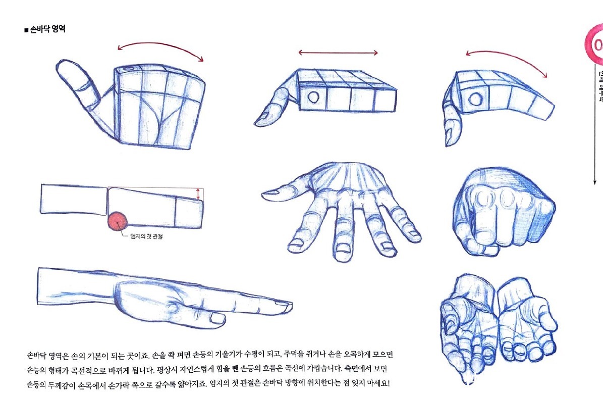 人物|这个教程太详细啦!零基础应该如何画出人物手部?从结构开始学起