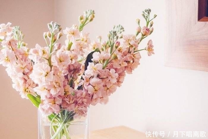 伙计|伙计,你在要求什么,你在争取什么,你在生气什么,你在担心什么?