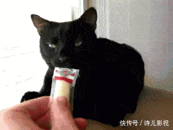 怀孕|“这模特怀孕7个月竟然还在工作,她老公呢?”网友:在旁边卖车呢!哈哈哈