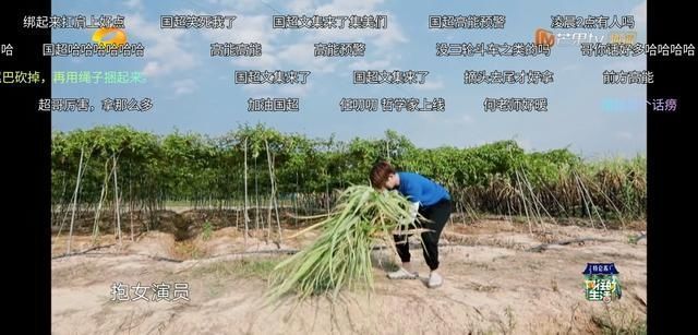 生活|任嘉伦对谭松韵就是不一样,《向往的生活》偷偷发糖戳到我了