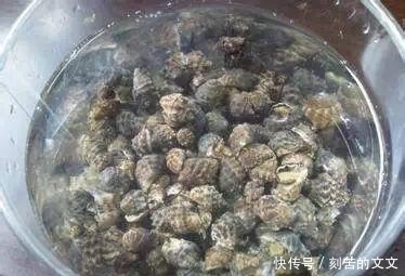 认出|海鲜大全, 你能认出多少