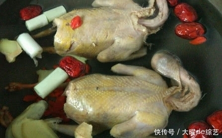 学会|一只鸽子等于十只鸡?其中秘诀无人知,学会了还不抓紧收藏