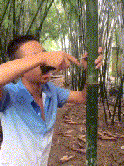 吃饭|搞笑GIF:你们怎么回事,中午没吃饭啊!可是一群女生!