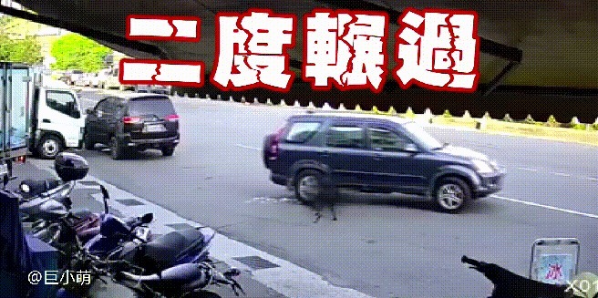  碾压|男子开车3度碾压小黑狗，下车还再补踹一脚！网友：蓄意谋杀