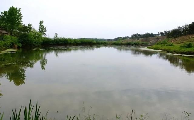 情人|一少妇被情人残杀抛尸,18年后嫌犯落网起因曝光