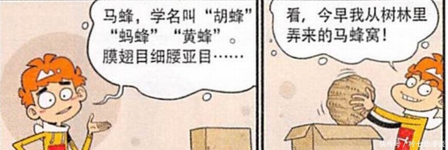  展开|阿衰漫画：阿衰为了“直播效果”，与蟒蛇展开了搏斗！