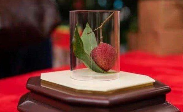 挂绿|当年那个商人为了一颗挂绿荔枝,花费55万元竞拍下来,后来如何了?