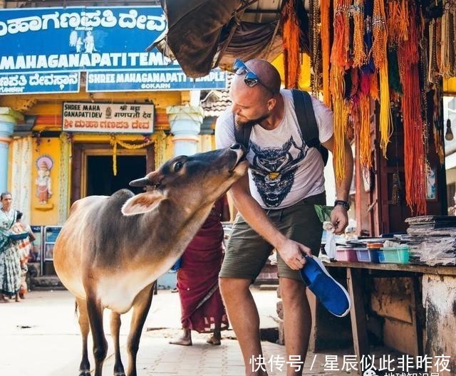 到底|印度，到底让不让吃牛肉？｜地球知识局