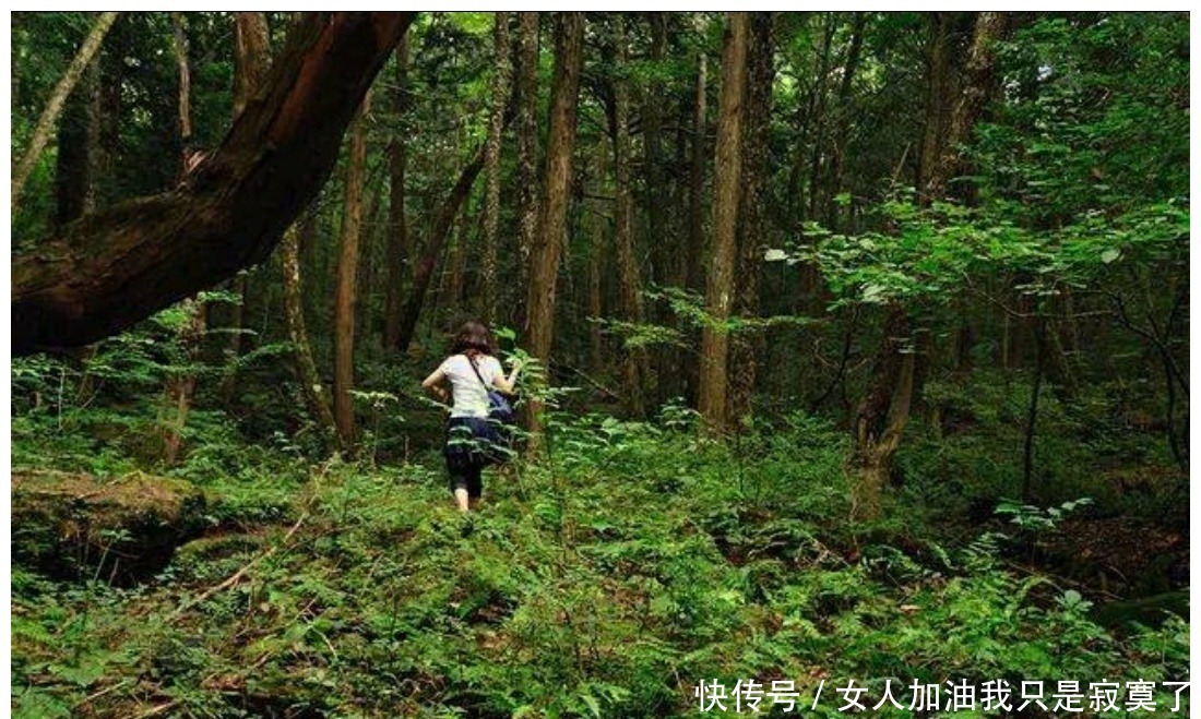  失踪|日本每年有10万人突然失踪，消失原因家人都不好意思说
