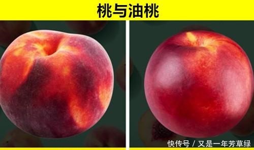 毒蘑菇|可能常常被人们混淆弄错的11对完全不同的食物