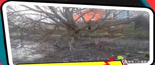  家门口|男子抽干家门口的池塘，准备捞鱼，结果发现惊人财富！