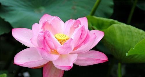 发财|阴历此三个月出生的人，天生晚富命，中年成功发财，越老越有福气