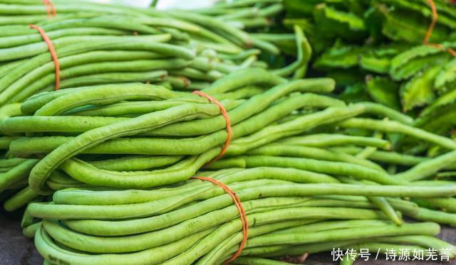  将豆角|吃不完的豆角，不要直接放冰箱，老菜农教您一招，放一年都不会坏