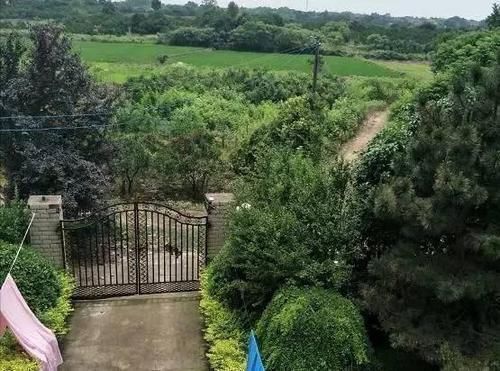 农村|去男友乡下老家,他说的茅草房原来是别墅,感觉自己赚翻了