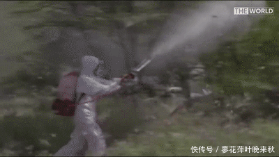 提前扑灭|你永远不知道,卫星帮我们挡了多少灾