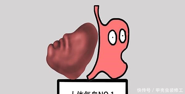 该补|脾虚体质的人,身体可能会有这2种表现,如果你有,该补脾了