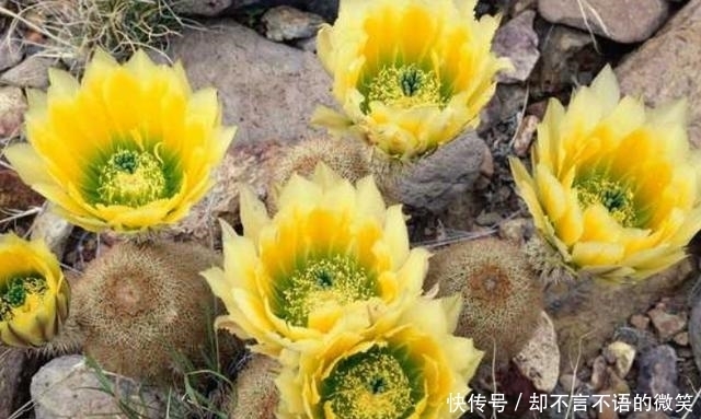 星座|下半年最易成功的4个星座,脚踏实地的努力,成功不会辜负你