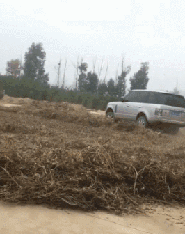 GIF|搞笑GIF:在外面抓了一只鸡,你们看是红烧好,还是清炖呢!