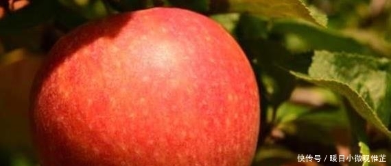 养颜|人到中年想长寿,三种食物换着吃,美容养颜,改善体质,早吃早好