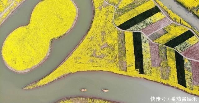  高邮咸鸭|中国哪里的咸鸭蛋好吃？这3个地方评价高！酥沙流油，好吃下饭