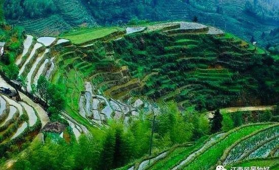 林泉|朱虹 林泉:王阳明在南赣