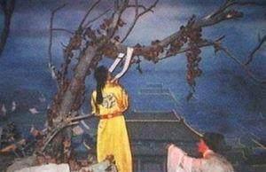 兄弟会|假如崇祯死后再遇天启他们兄弟会说什么?