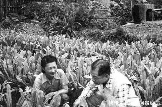 赵四|盘点:张学良与赵四小姐的“爱情”