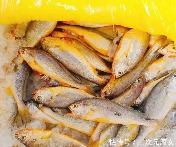 价格|以后去市场买这5种鱼,连鱼铺老板都会夸你是行家