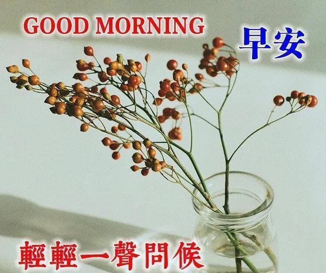 早安|记住:没有伞的孩子,必须努力奔跑!早安