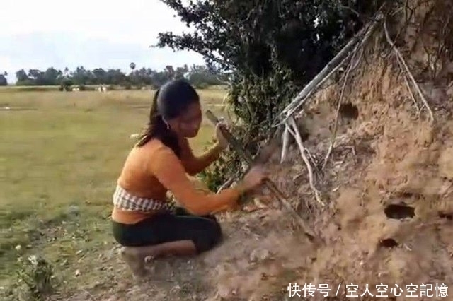 挖开|女子在地里劳作时发现一个洞，挖开后发现这好东西！