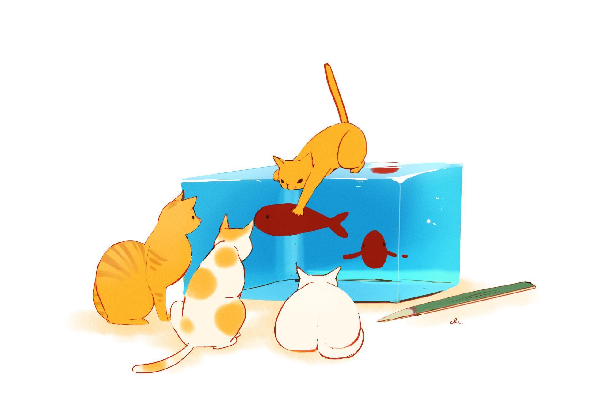 pixiv|动漫插画|pixiv综合榜分享245