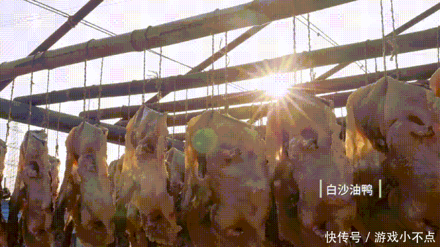 名字来源|广东最被忽略的美食之城,没想到是它|原创