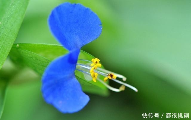 匆匆|感叹岁月匆匆,悲秋伤春自古皆然