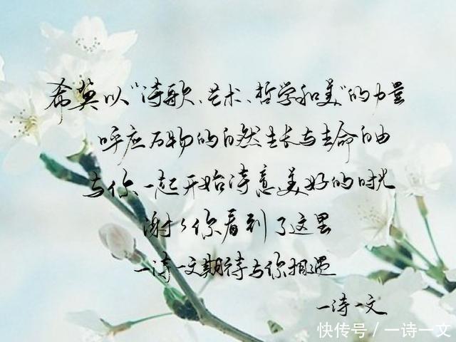 寄给|要给你写的信我寄给月亮了，她那里没有氧，我可以爱你几亿年