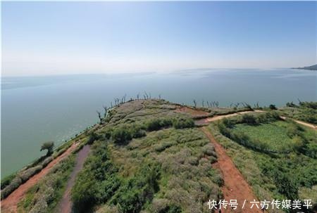 简直|简直不要太美!15亩格桑花点燃西华湿地