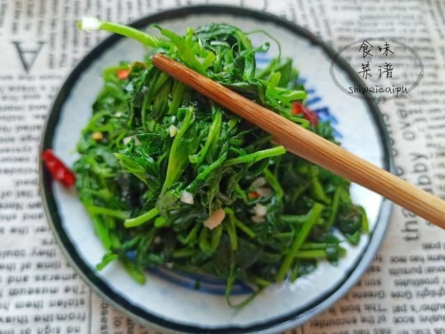 苜蓿菜|春天碰到这野菜别犹豫,我一买就是20斤,营养价值高,常吃身体好