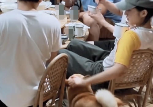 众人|众人祝妈妈节日快乐后,张子枫却背过头去小声嘟囔,何炅及时接梗